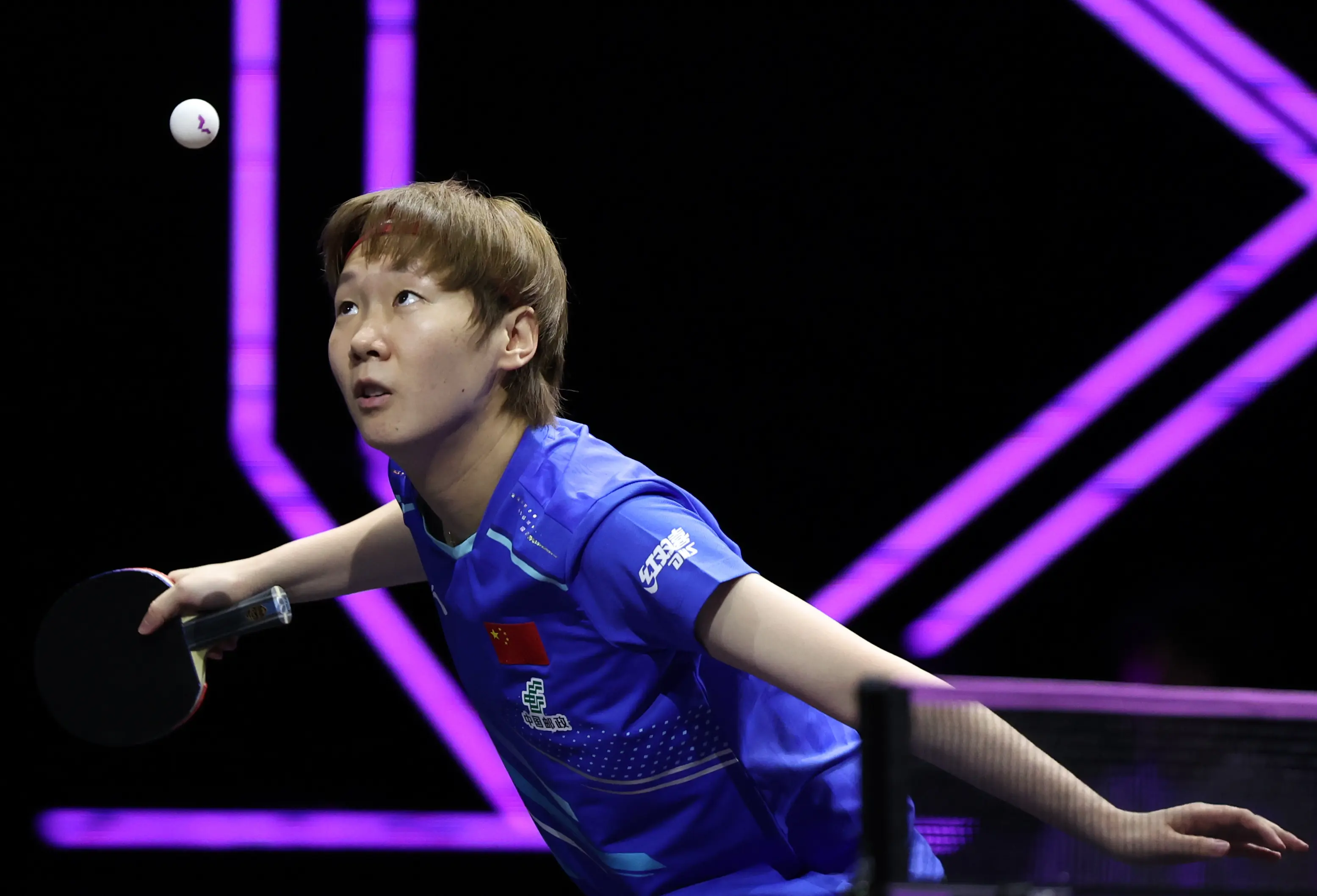 双头号种子, 人参赛 双头号种子, 人参赛