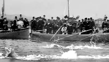 武术赛裁判, 北京新闻广 武术赛裁判, 北京新闻广