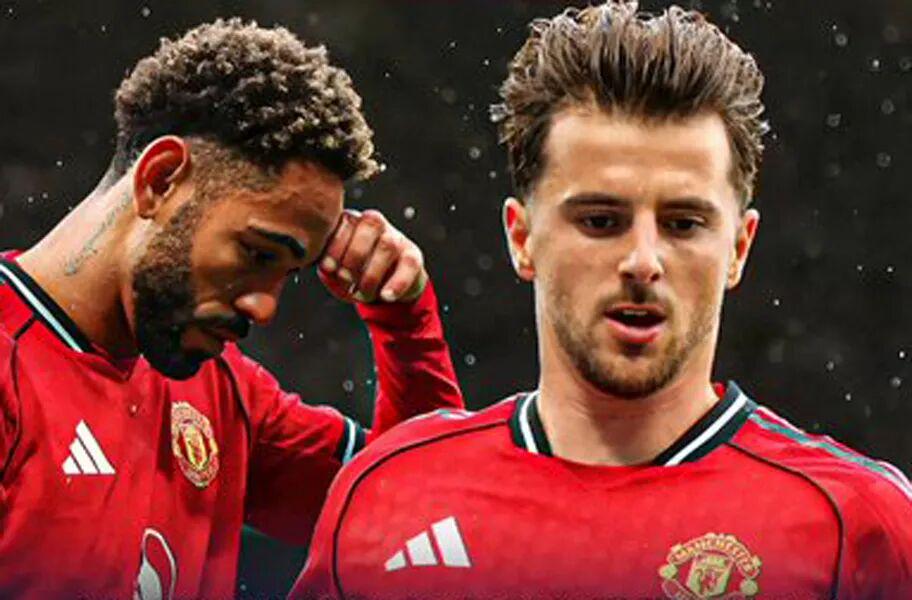 廷队友加纳, 地回答道