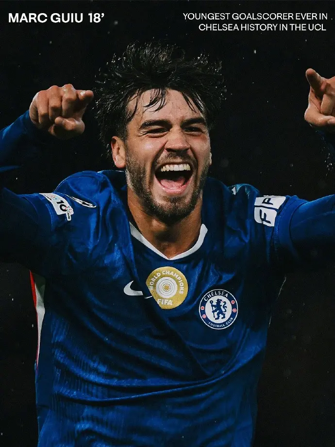 攻坚能力, msn 攻坚能力, msn